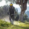 DCMST922N-XJ Bull Handle Strimmer 3